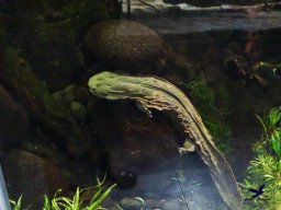 Haus des Meeres 4.02.2026